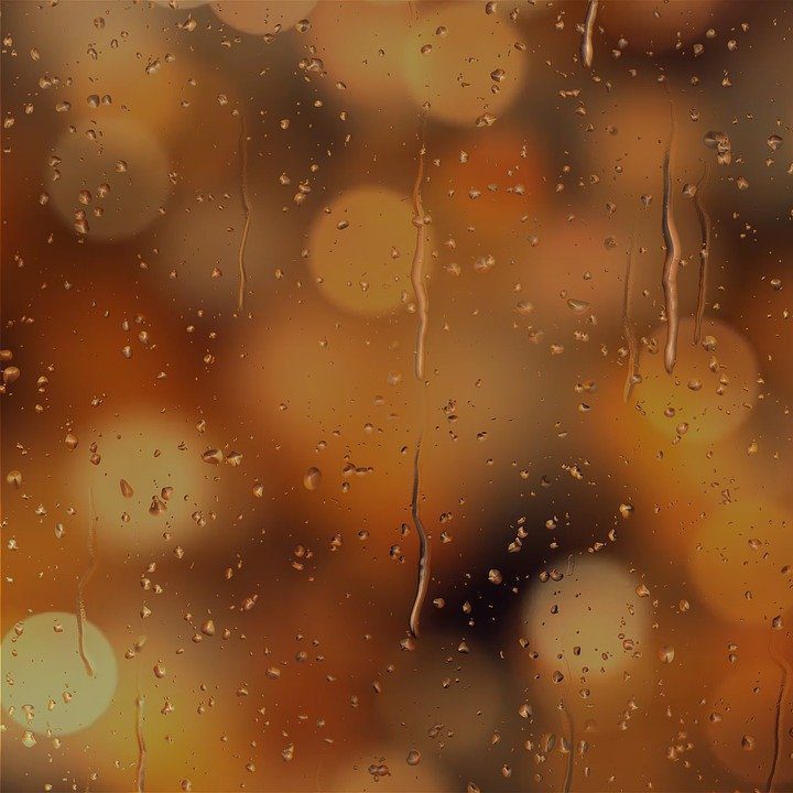 background-bokeh-rain-3127102-e1637257938169-pg98fsszdj34dvgoltdbzspzdbpft5j5zozr16yja8 background-bokeh-rain-3127102-e1637257938169-pg98fsszdj34dvgoltdbzspzdbpft5j5zozr16yja8